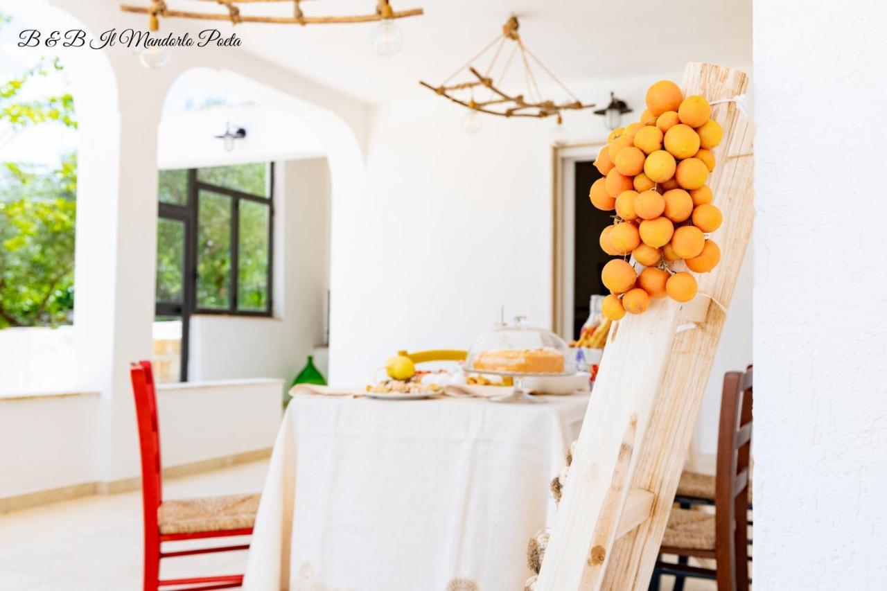 オストゥーニ Il Mandorlo Poeta Bed & Breakfast エクステリア 写真